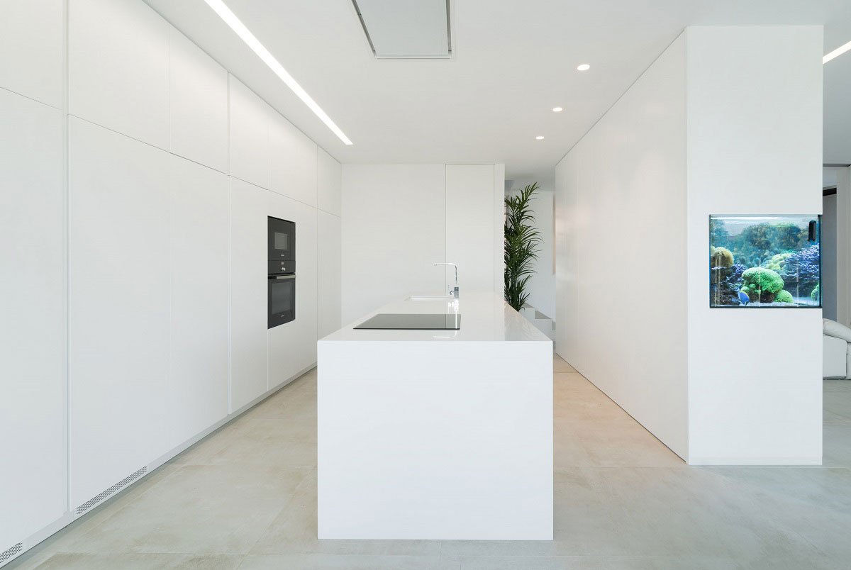 Aquarium House | Ruben Muedra Estudio De Arquitectura