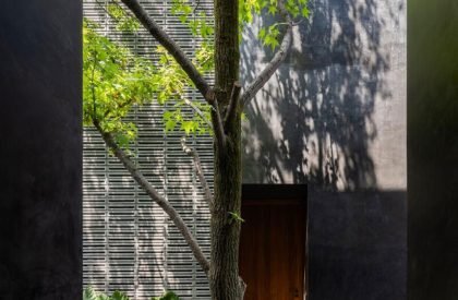 Carrizal | Perez Palacios Arquitectos Asociados