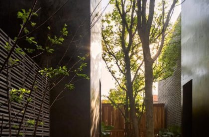 Carrizal | Perez Palacios Arquitectos Asociados