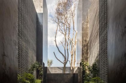 Carrizal | Perez Palacios Arquitectos Asociados