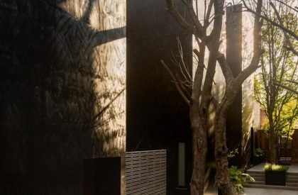 Carrizal | Perez Palacios Arquitectos Asociados