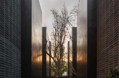 Carrizal | Perez Palacios Arquitectos Asociados