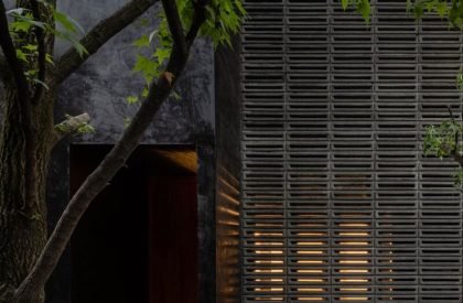 Carrizal | Perez Palacios Arquitectos Asociados