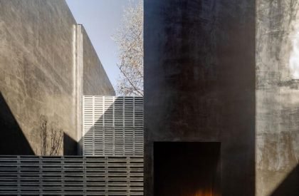 Carrizal | Perez Palacios Arquitectos Asociados