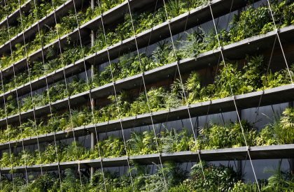 Jakob Factory | G8A Architecture & Urban Planning + Rollimarchini Architekten