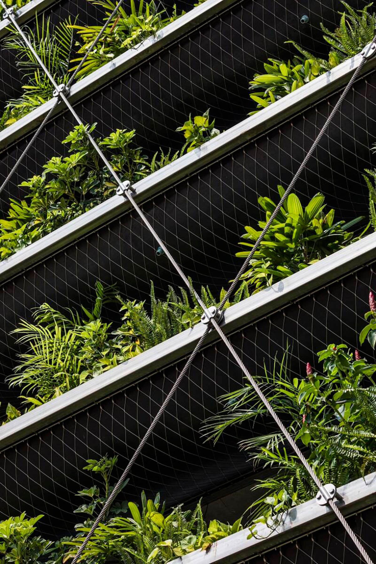 Jakob Factory | G8A Architecture & Urban Planning + Rollimarchini Architekten