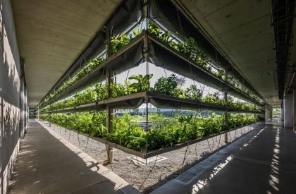 Jakob Factory | G8A Architecture & Urban Planning + Rollimarchini Architekten