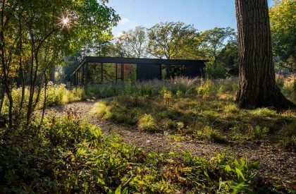 Ravine House | Wheeler Kearns