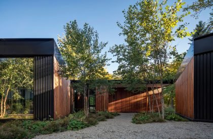 Ravine House | Wheeler Kearns