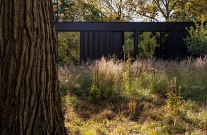 Ravine House | Wheeler Kearns