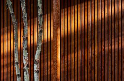 Ravine House | Wheeler Kearns