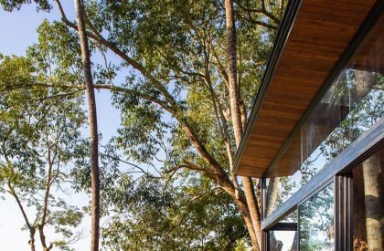 Villa in the Palms | Abraham John Architects
