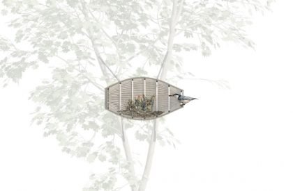 Legendary Bird Home | Result announced