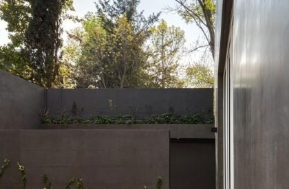 Campestre | Perez Palacios Arquitectos Asociados