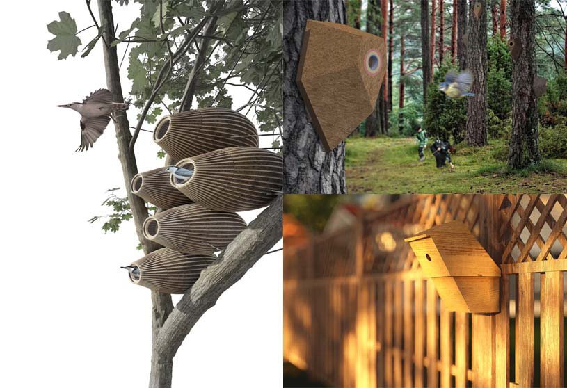 Legendary Bird Home | Result announced