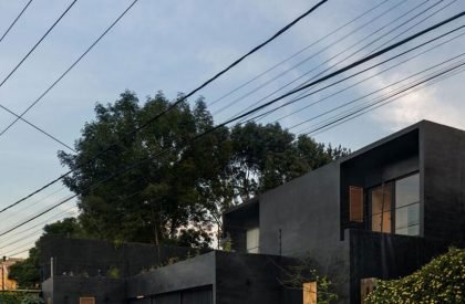 Lluvia | Perez Palacios Arquitectos Asociados