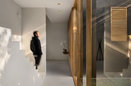 Lluvia | Perez Palacios Arquitectos Asociados