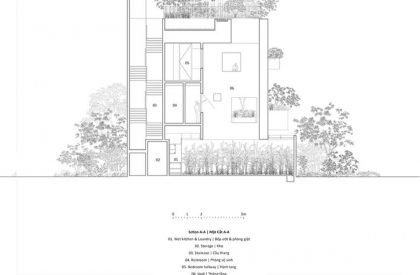 Sky House | MIA Design Studio