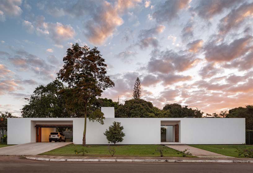 Weekly Highlights 2020 #54