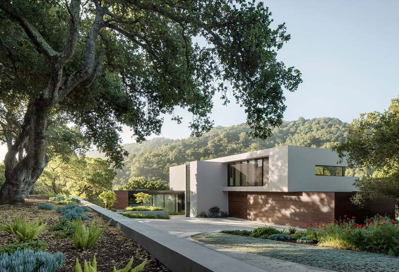 Weekly Highlights 2020 #54