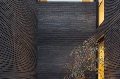 Alexandra Street House | Robert Simeoni Architects