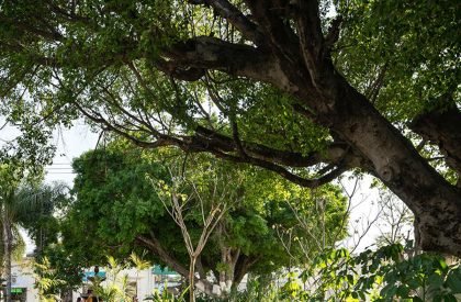 Jojutla Central Gardens | Estudio MMX