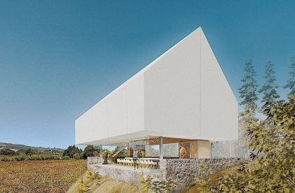 Monte D’Oiro: Wine Tasting Room – Result Announcement