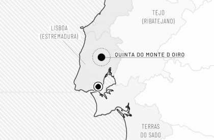 Monte D’Oiro: Wine Tasting Room – Result Announcement