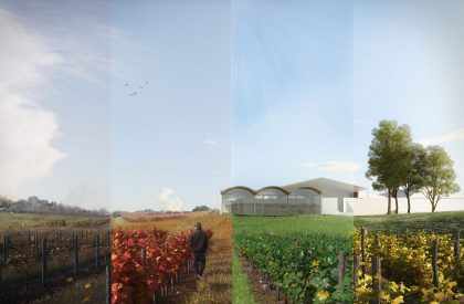 Monte D’Oiro: Wine Tasting Room – Result Announcement