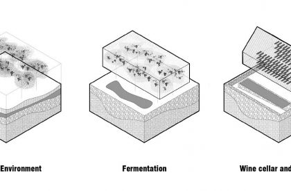 Monte D’Oiro: Wine Tasting Room – Result Announcement
