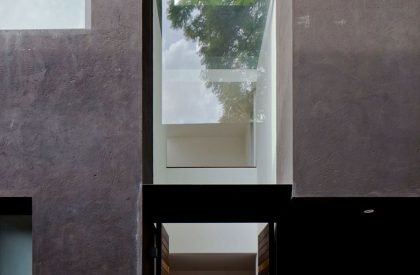 Reforma | Perez Palacios Arquitectos Asociados