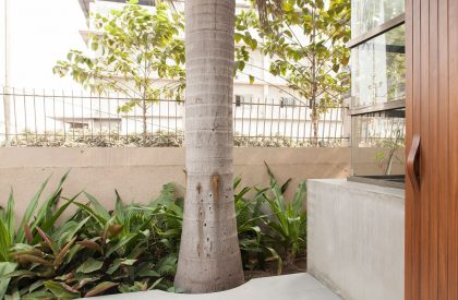 Sujetex Headquarter | Studio ii