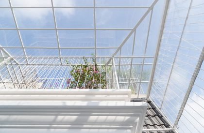 The Bugs House | Landmak Architecture, JSC