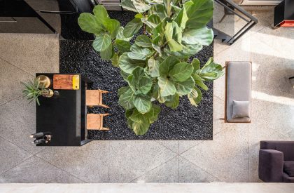 The House in 1970 | Architects Collaborative