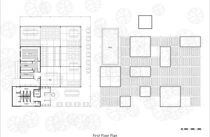 Arrom Orchid | Studio Miti