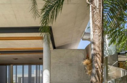 Casa Da Mata | Leo Romano