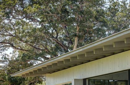 Lune de Sang Pavilion | Chrofi
