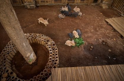 Piyandeling | Realrich Architecture Workshop