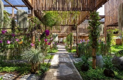 Arrom Orchid | Studio Miti