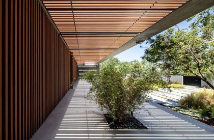 Ecological house | Dan and Hila Israelevitz Architects