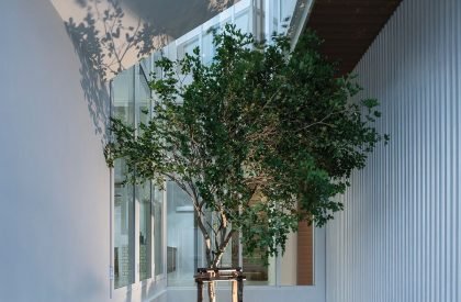 House Enfold | TOUCH Architect