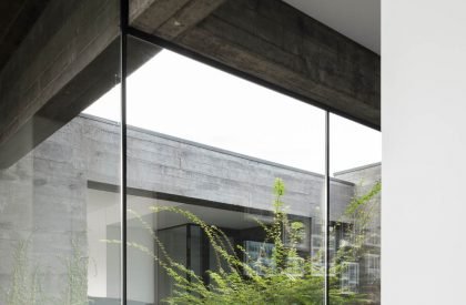 Cork Oak House | Hugo Pereira Arquitetos