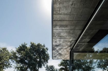 Cork Oak House | Hugo Pereira Arquitetos