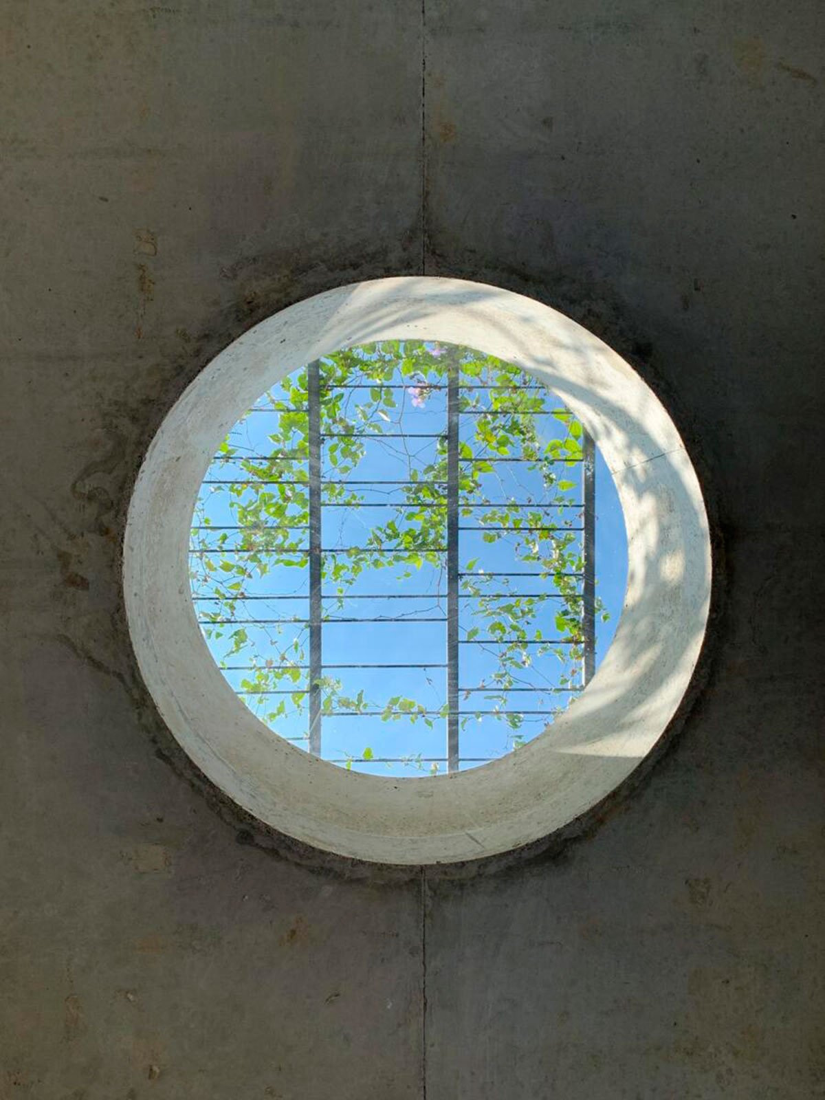 House That Rains Light | LIJO.RENY.architects