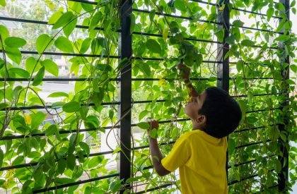 House That Rains Light | LIJO.RENY.architects