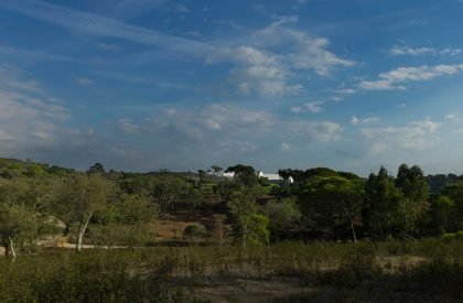 House in Melides II | Aires Mateus