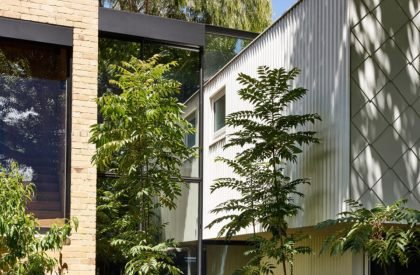 Garden House | Austin Maynard Architects