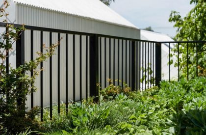 Garden House | Austin Maynard Architects