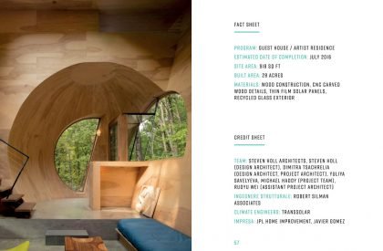 Lake of the mind: a conversation with Steven Holl