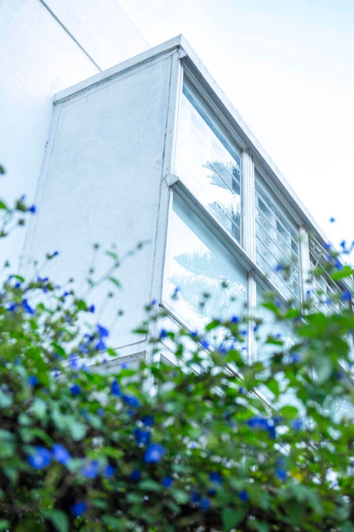 Scaffold House | Gaurav Roy Choudhury Architects